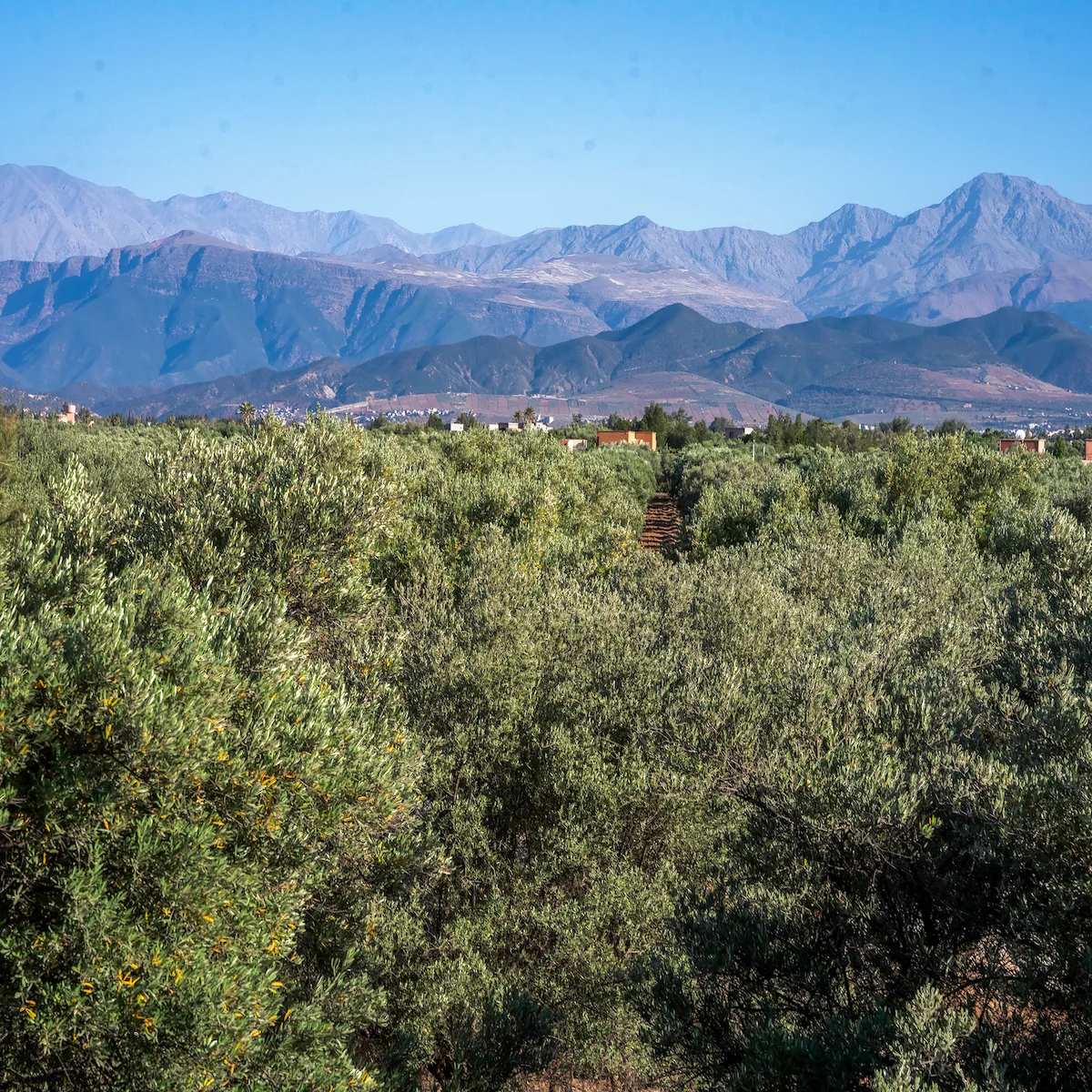 Atlas Mountain views