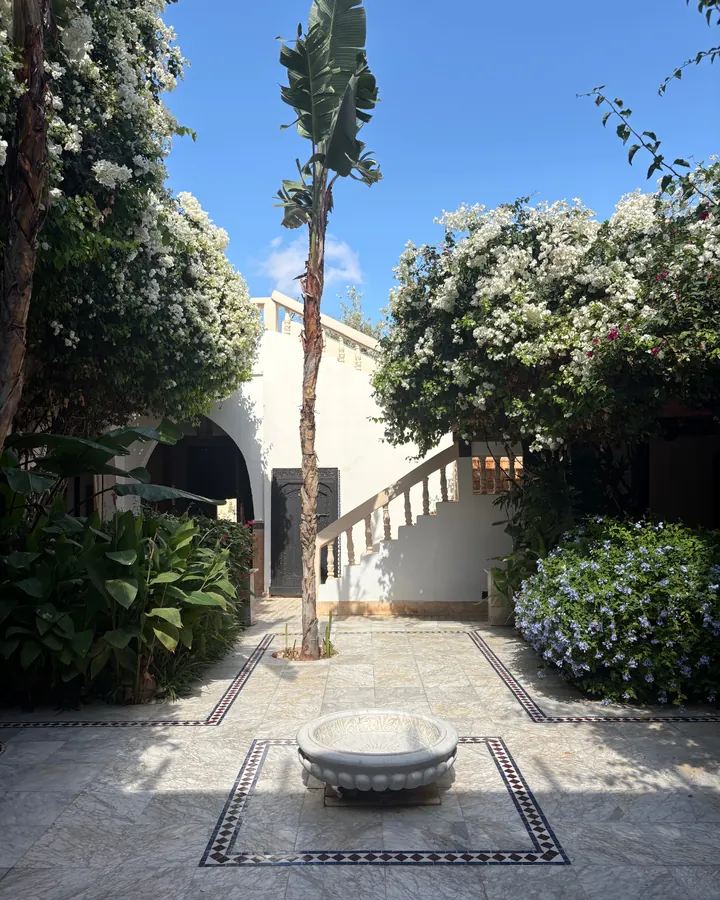 Sunlit courtyard with a fountain and flowering trees